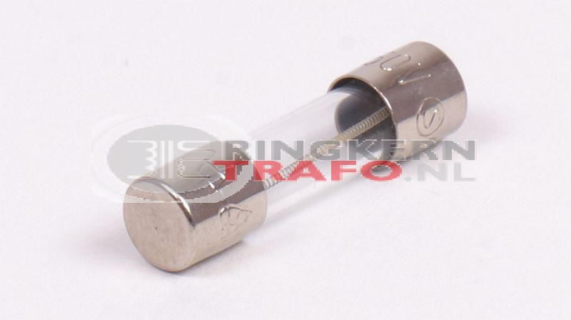 Glaszekering 630mA 5x20mm